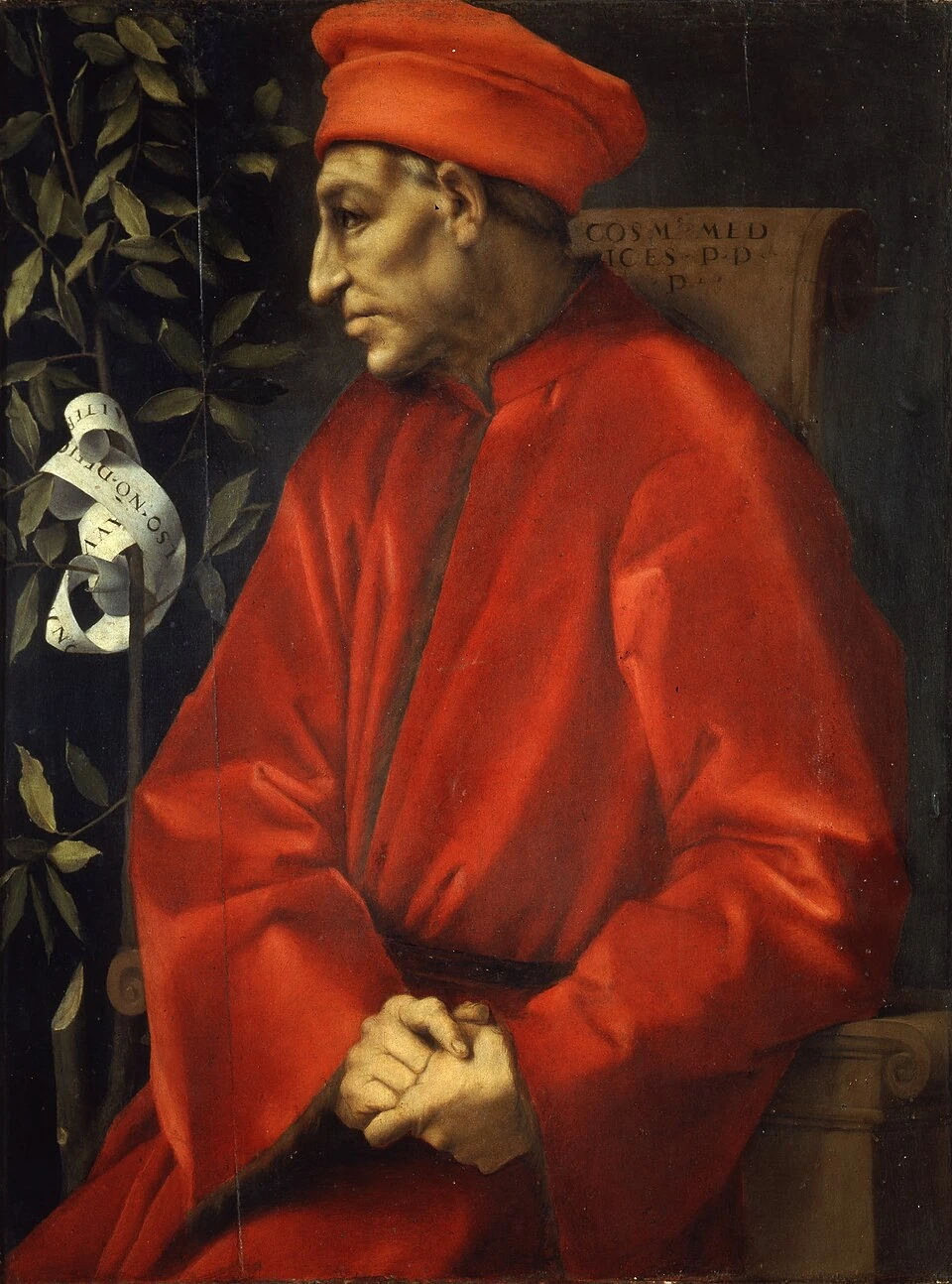Cosimo de Medici Net Worth: Likely Wealth Range Explained